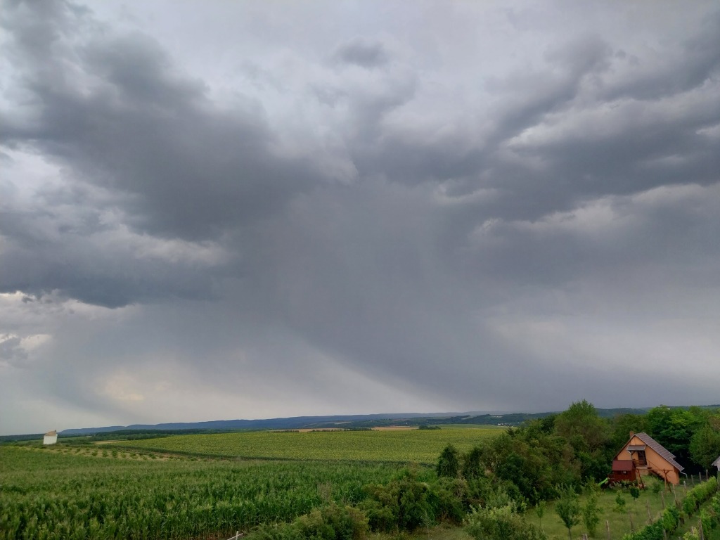 beillesztett kép