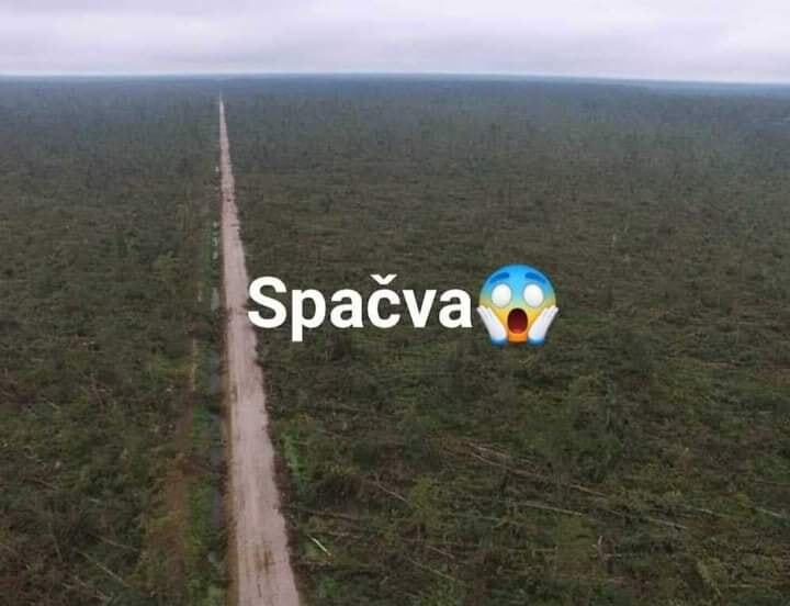 beillesztett kép
