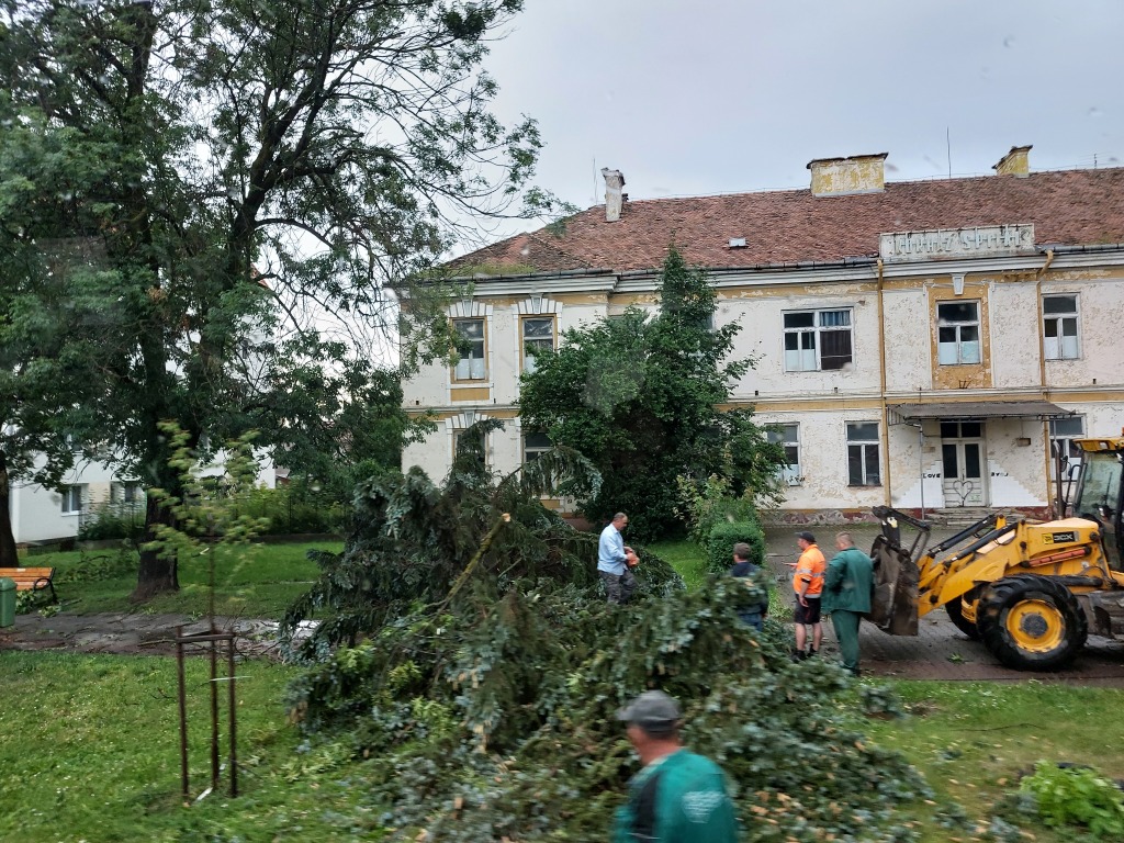 beillesztett kép