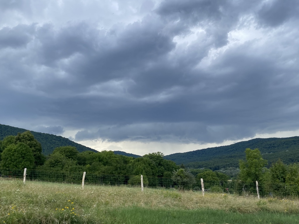 beillesztett kép