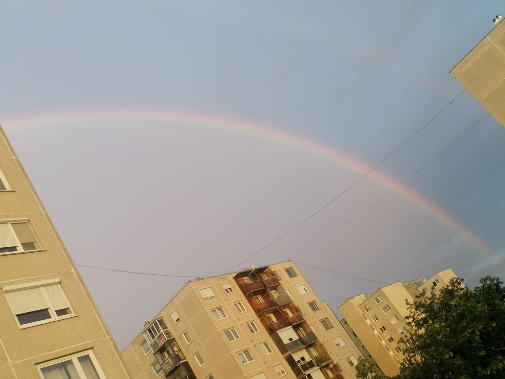 beillesztett kép