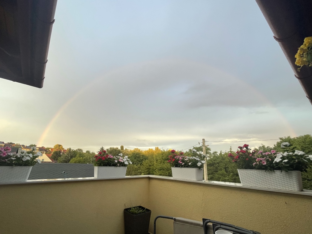 beillesztett kép