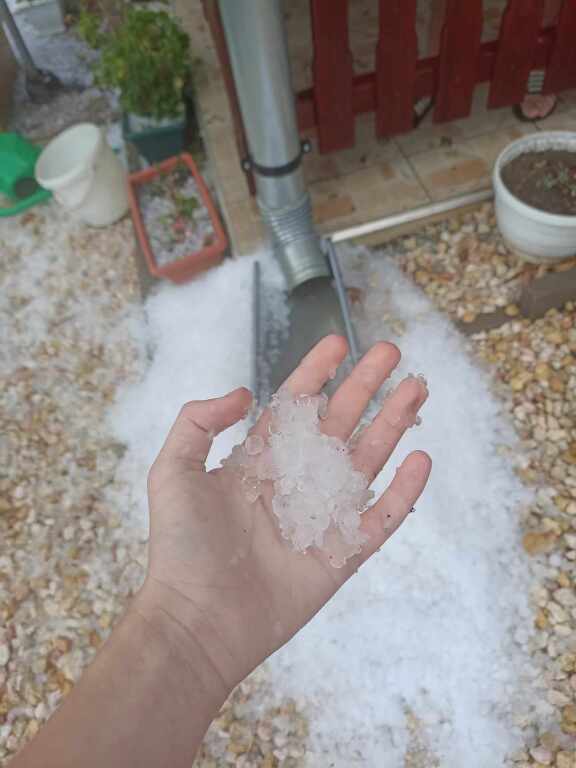 beillesztett kép