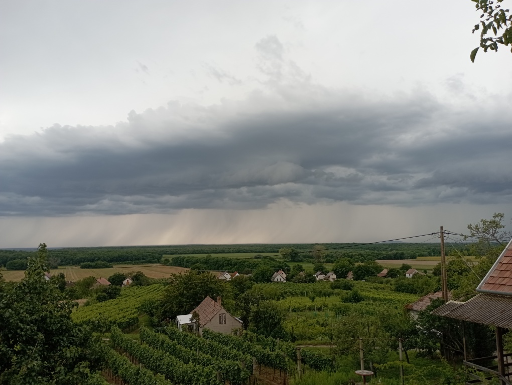 beillesztett kép