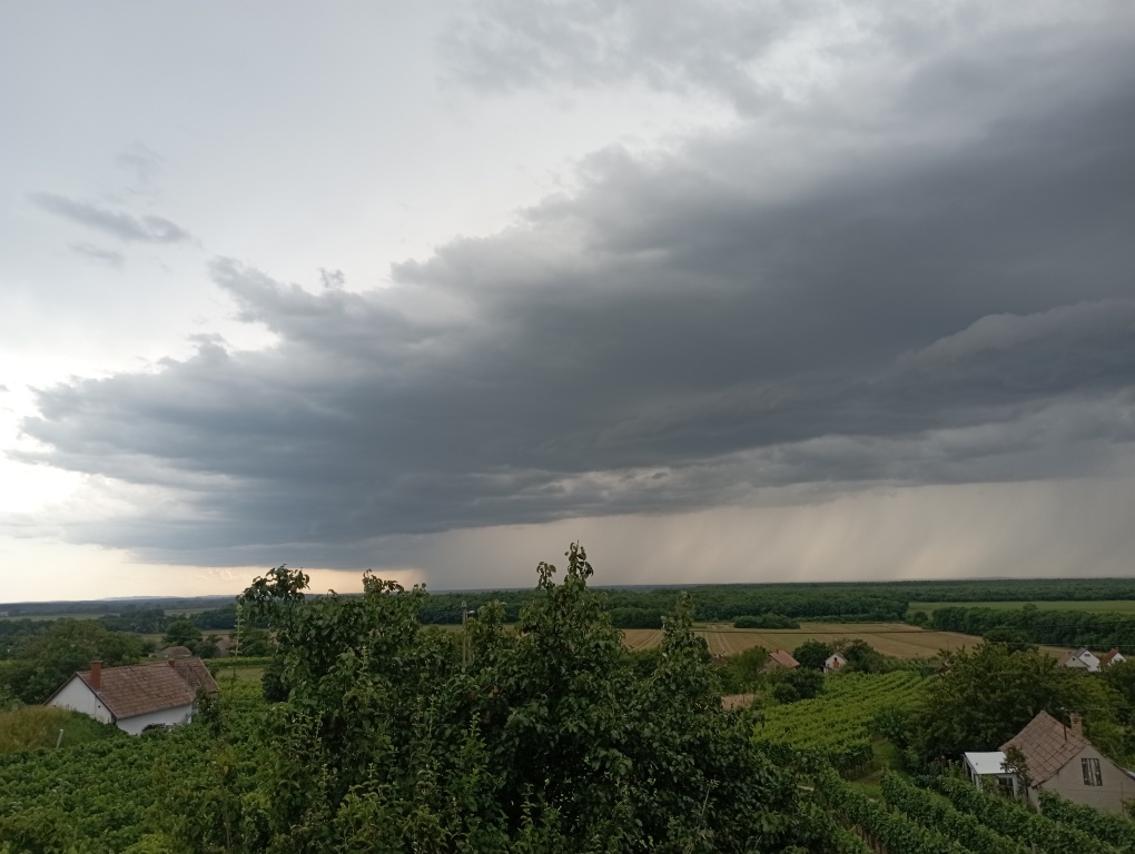 beillesztett kép