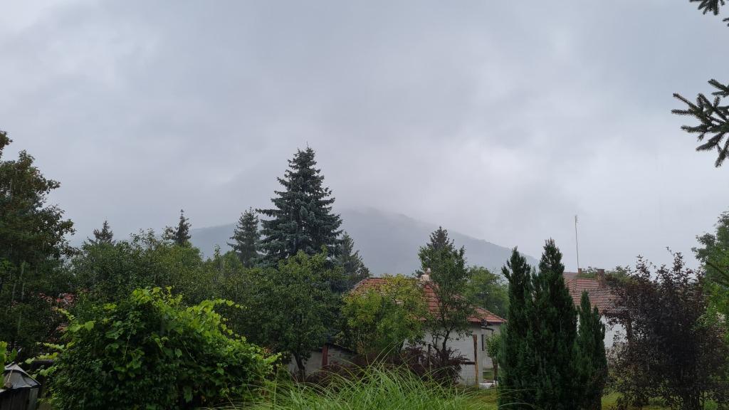 beillesztett kép