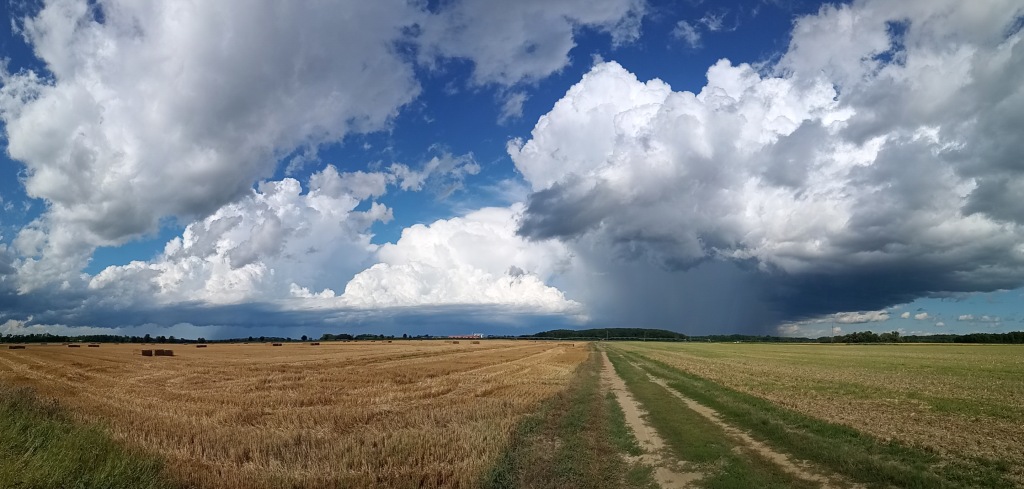 beillesztett kép