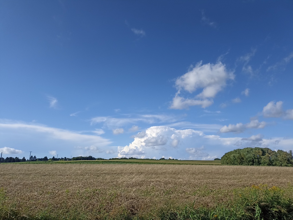 beillesztett kép