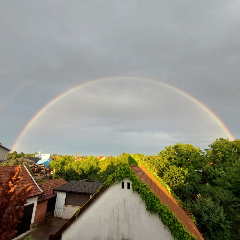 beillesztett kép