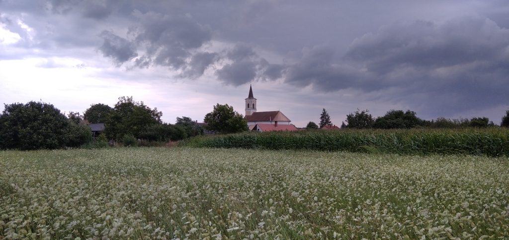 beillesztett kép