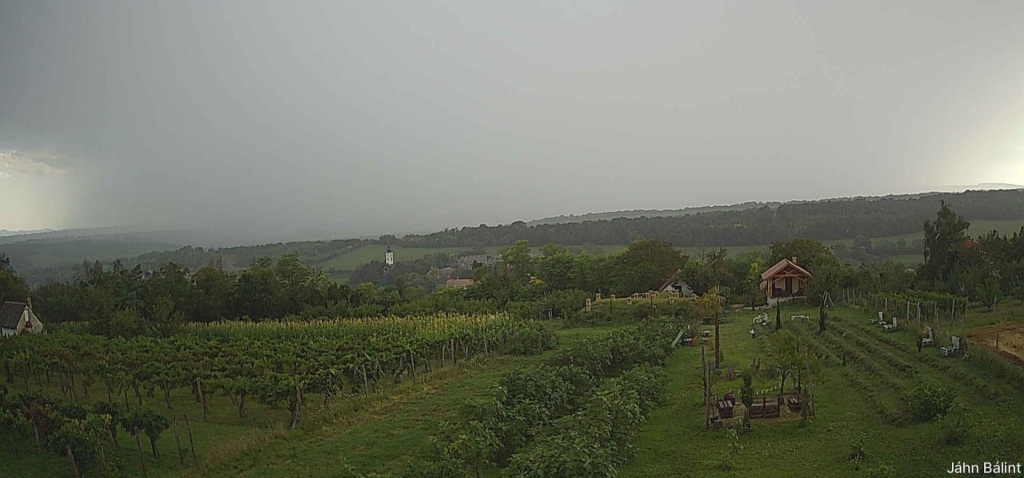 beillesztett kép
