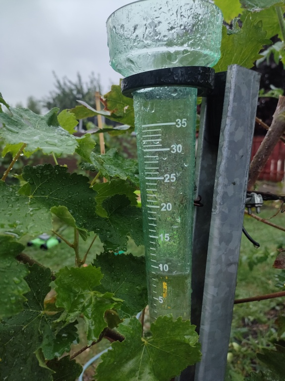 beillesztett kép