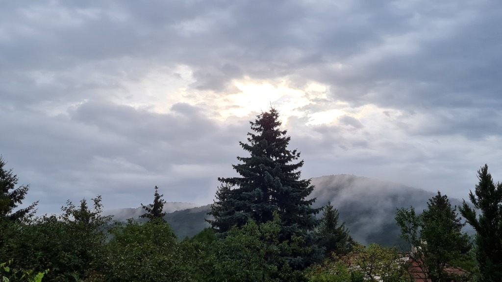 beillesztett kép