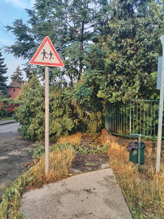 beillesztett kép