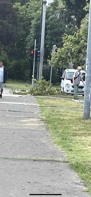 beillesztett kép