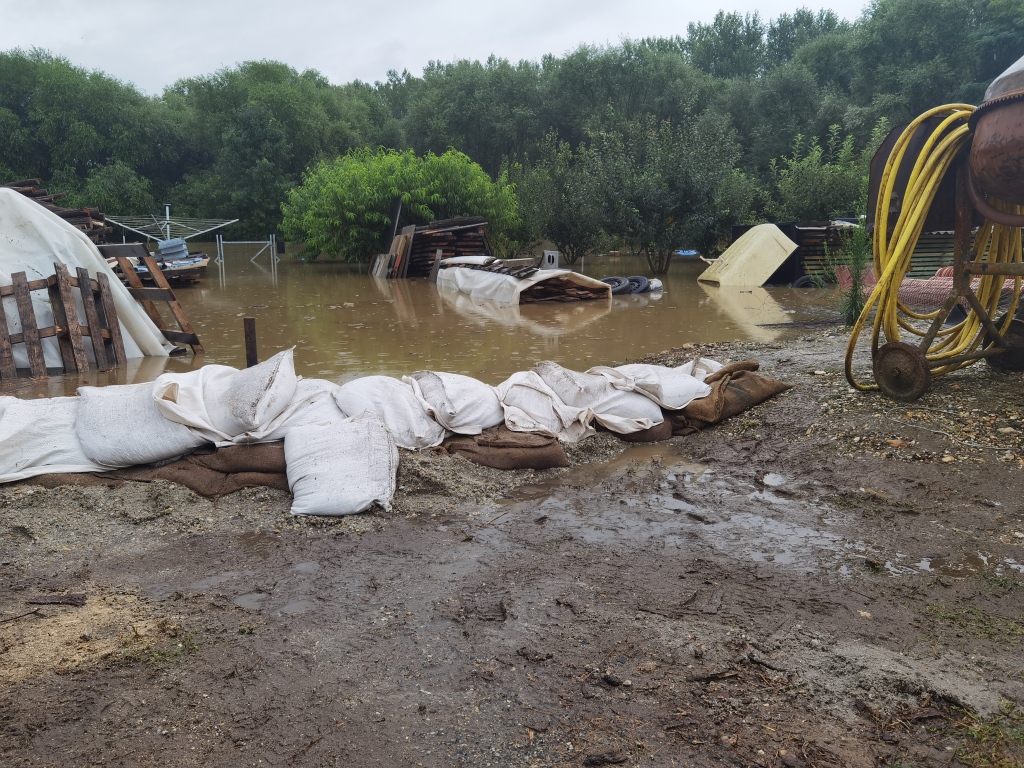 beillesztett kép