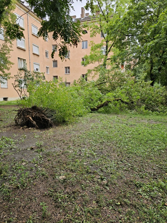 beillesztett kép