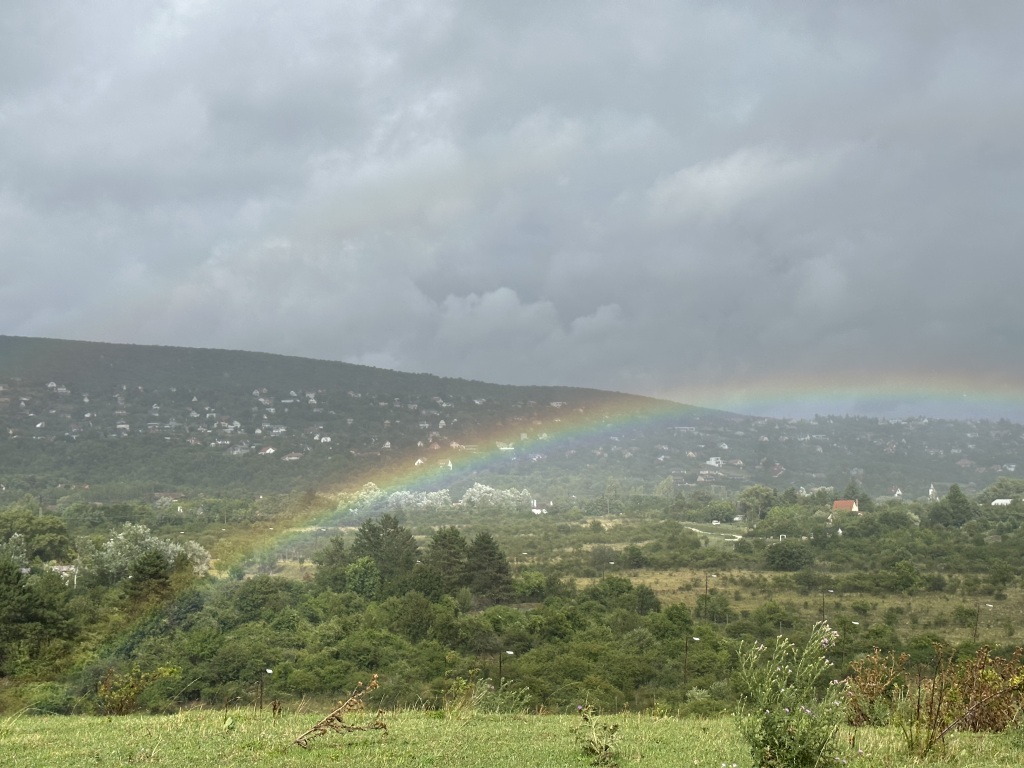 beillesztett kép
