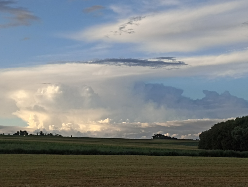 beillesztett kép