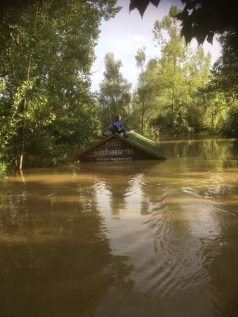 beillesztett kép