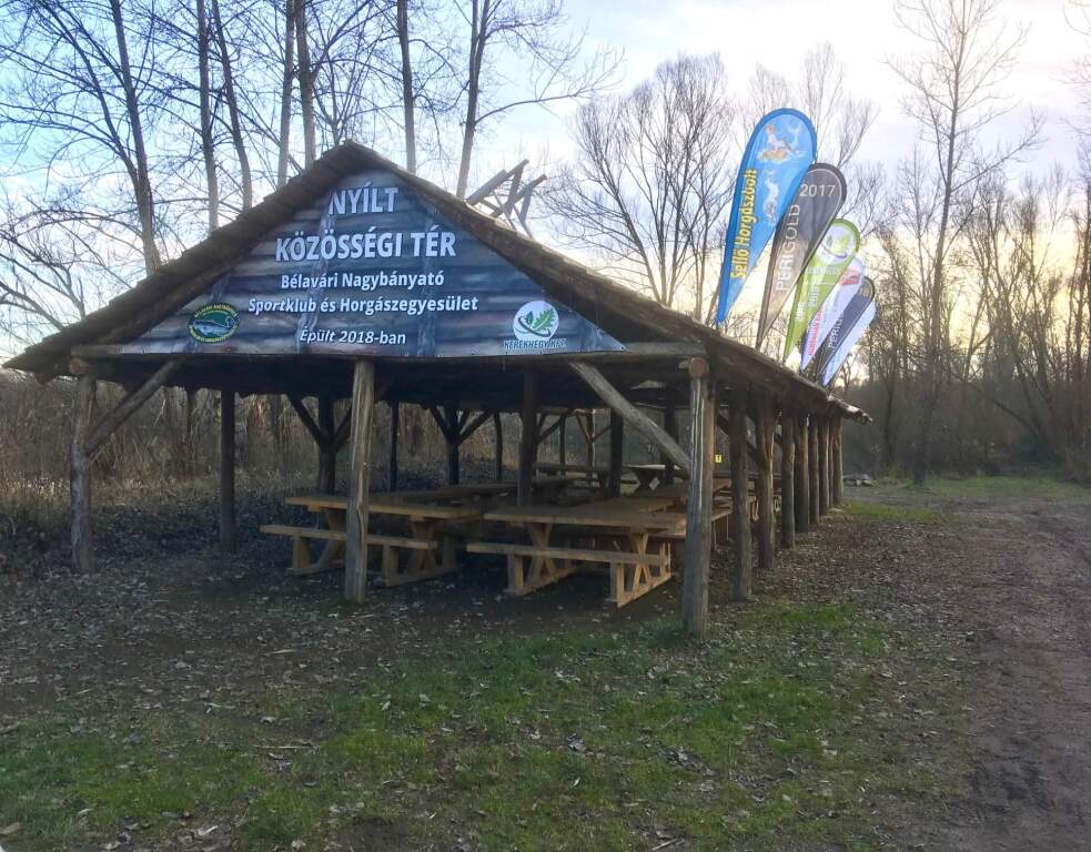 beillesztett kép