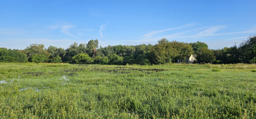 beillesztett kép