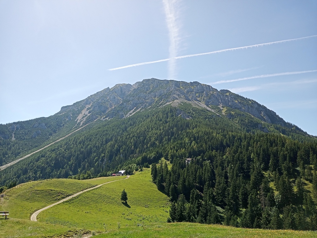beillesztett kép