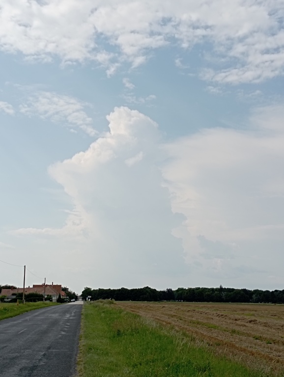 beillesztett kép