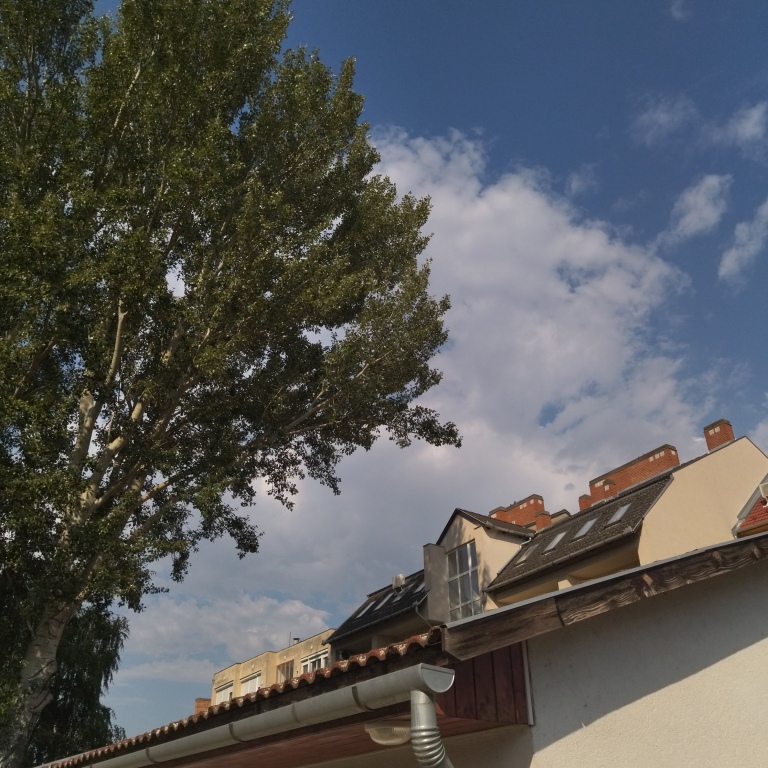beillesztett kép