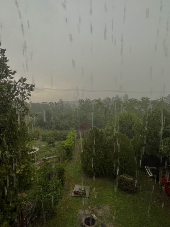 beillesztett kép