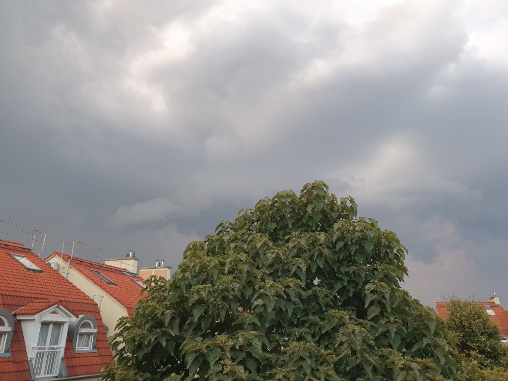 beillesztett kép