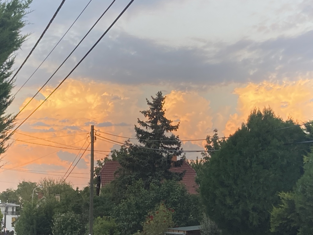 beillesztett kép