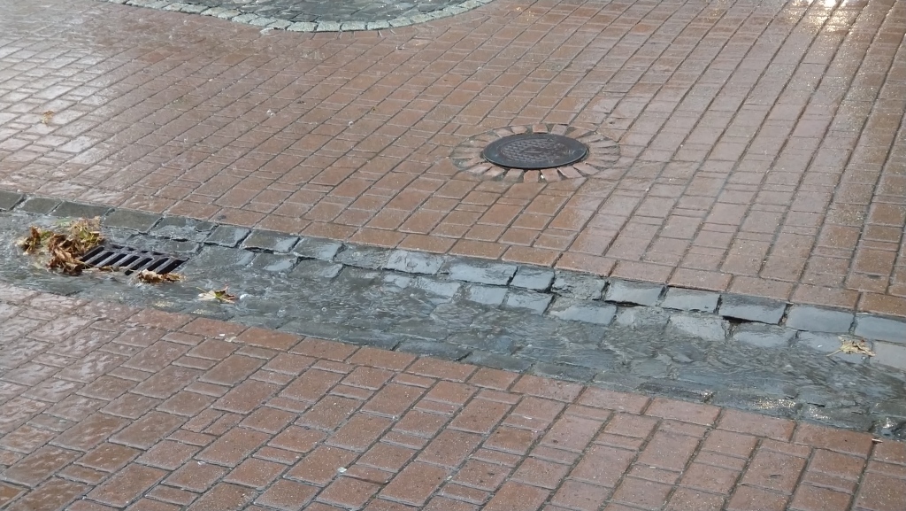 beillesztett kép