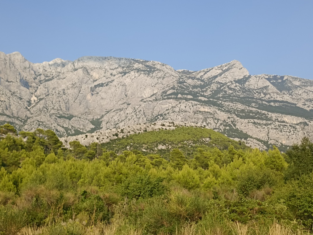 beillesztett kép