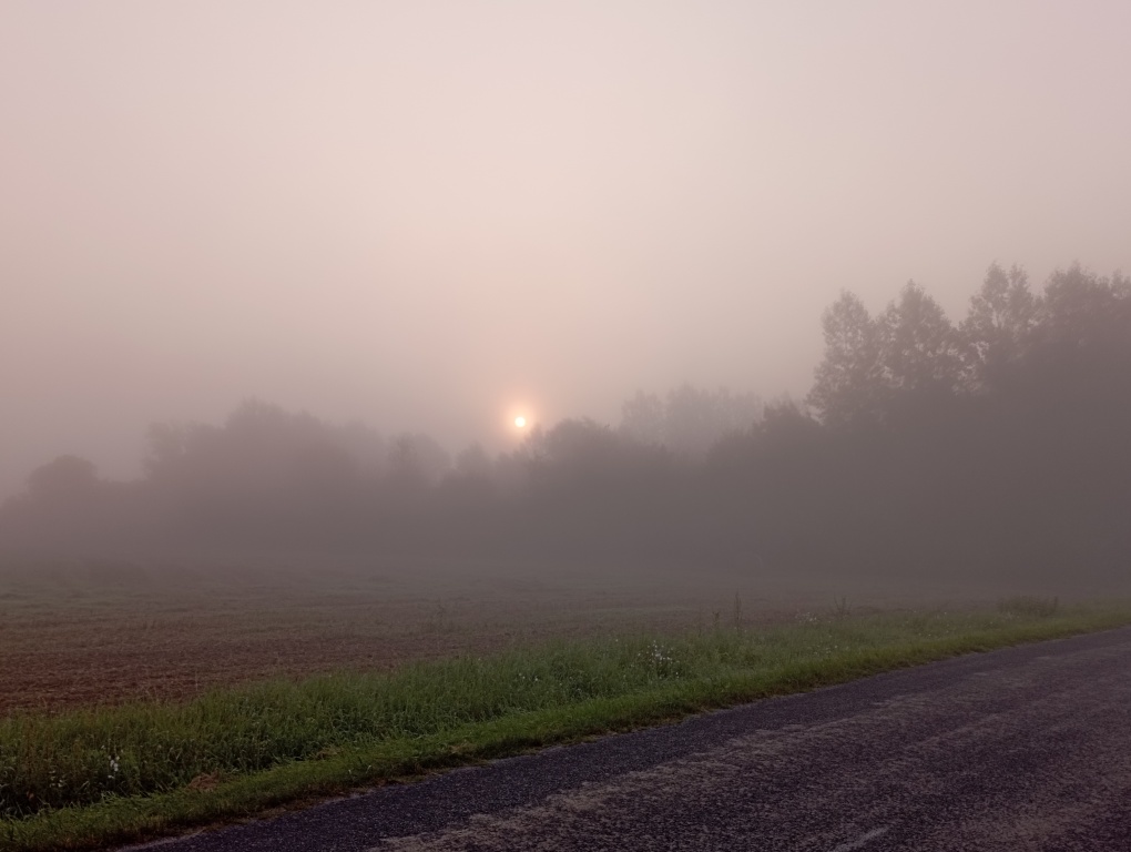 beillesztett kép