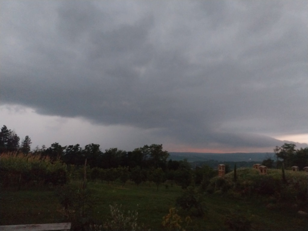 beillesztett kép
