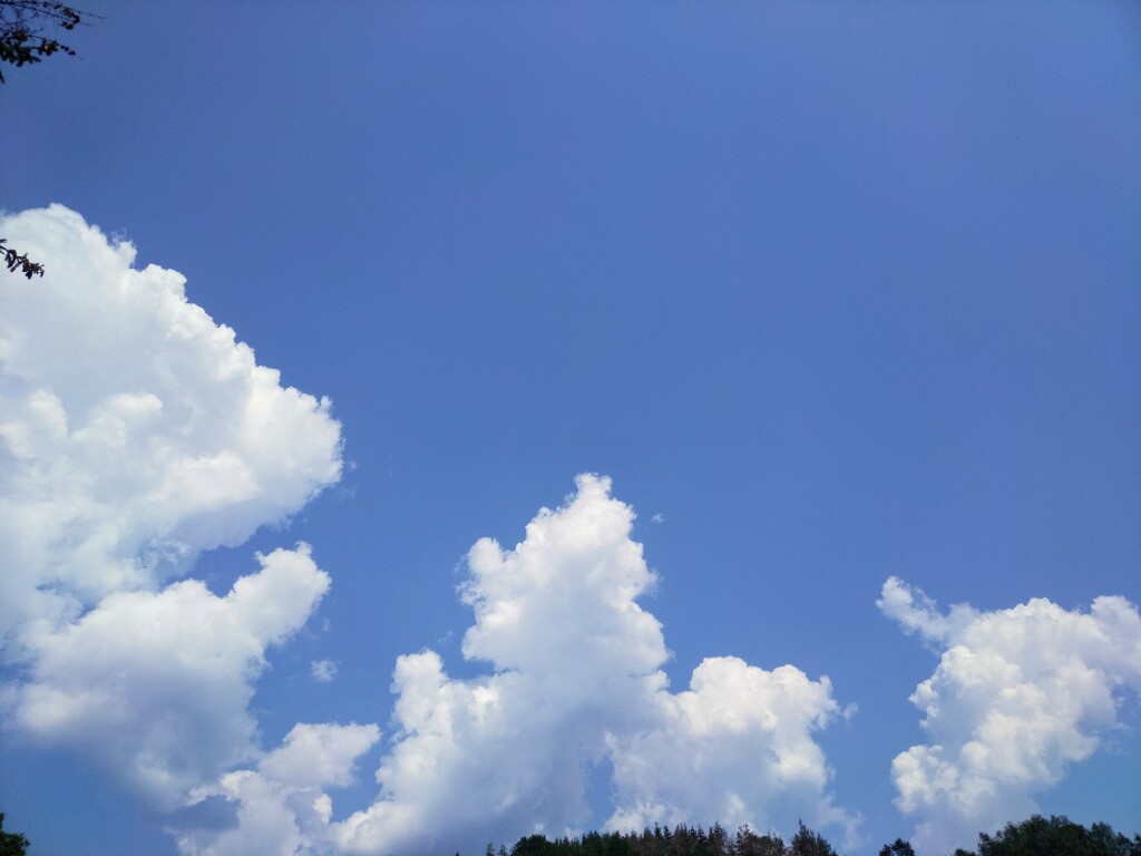 beillesztett kép