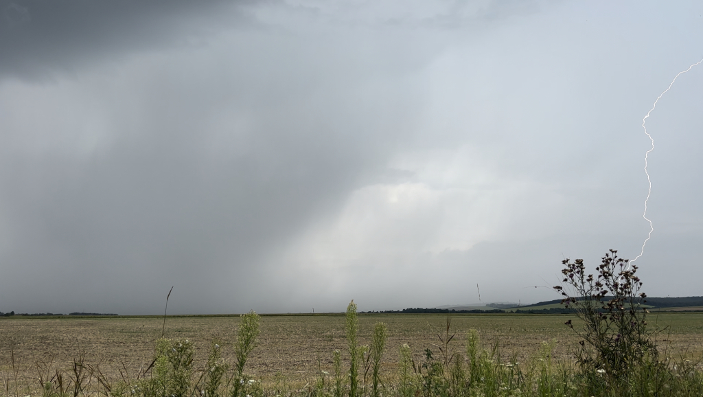beillesztett kép