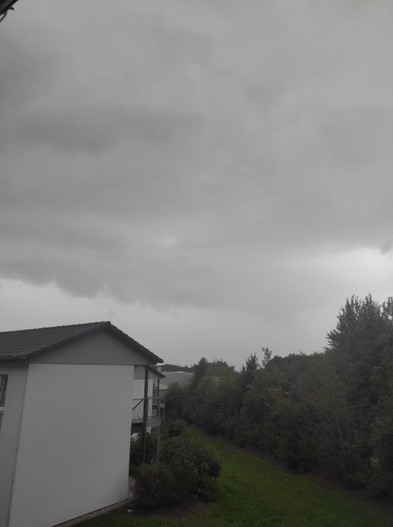 beillesztett kép