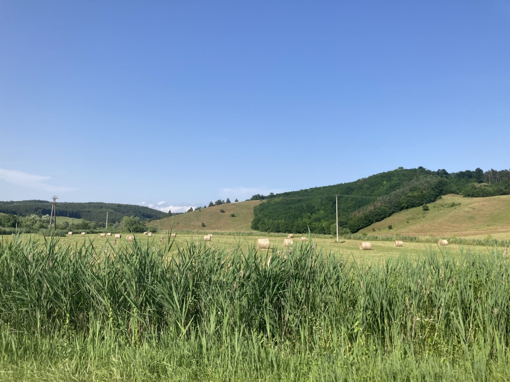 beillesztett kép