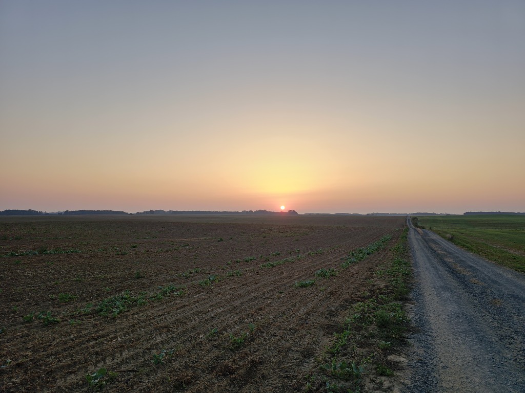 beillesztett kép