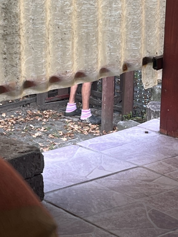 beillesztett kép