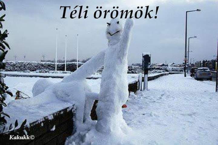 beillesztett kép
