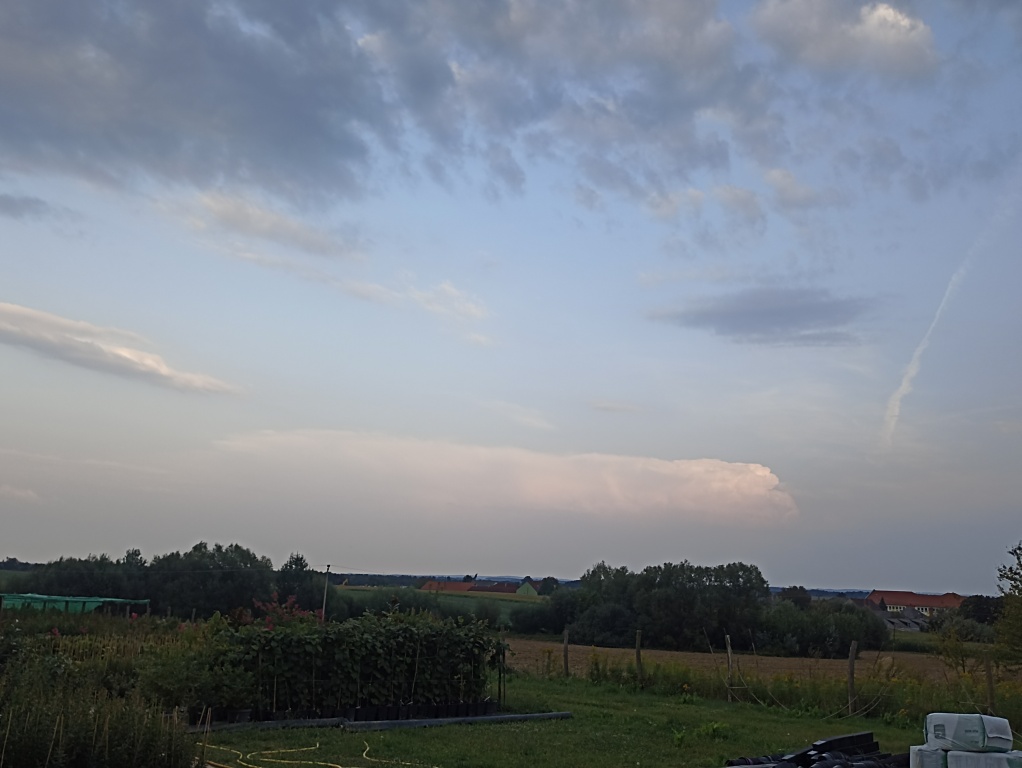 beillesztett kép