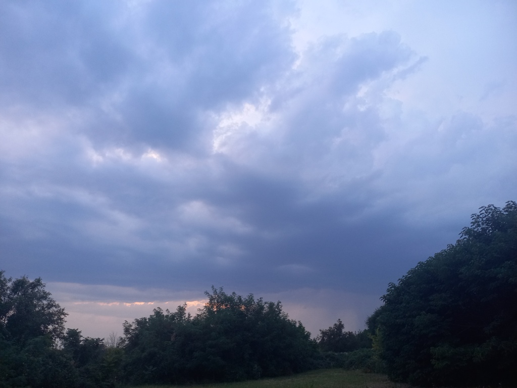 beillesztett kép