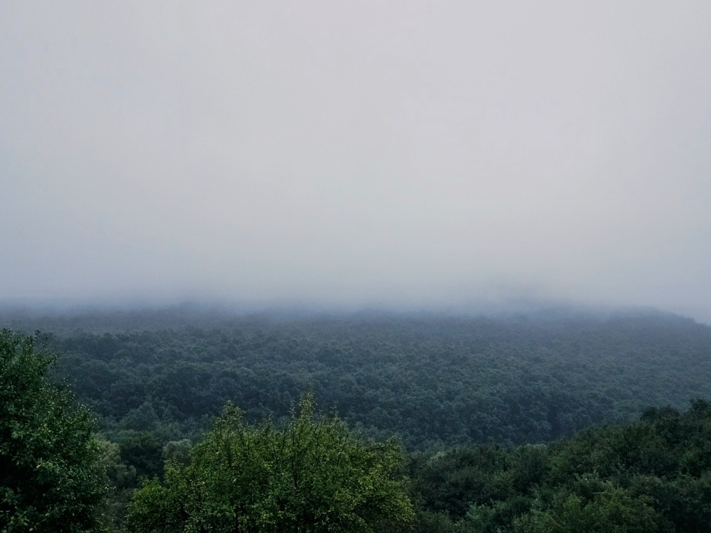beillesztett kép