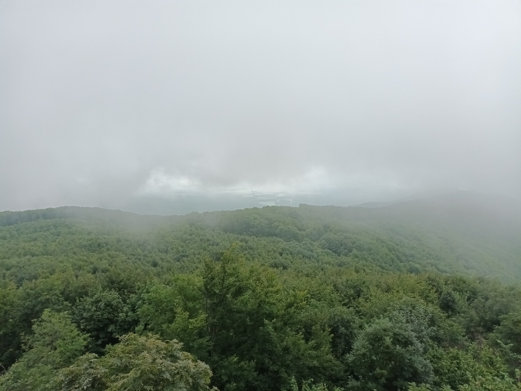 beillesztett kép
