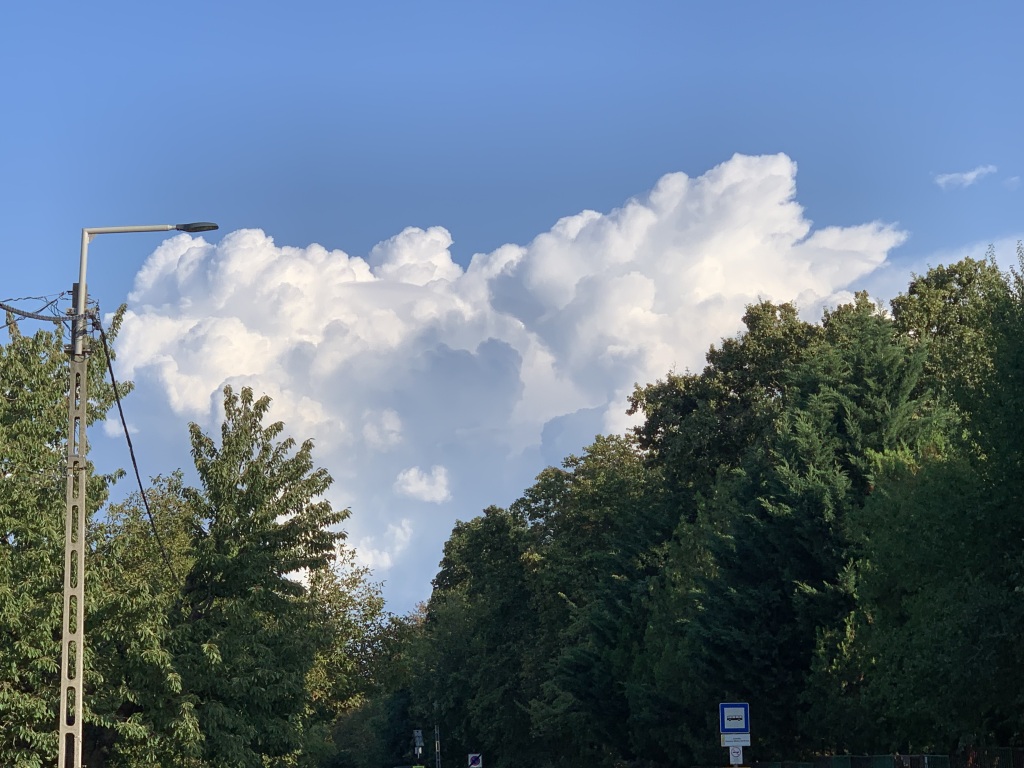 beillesztett kép