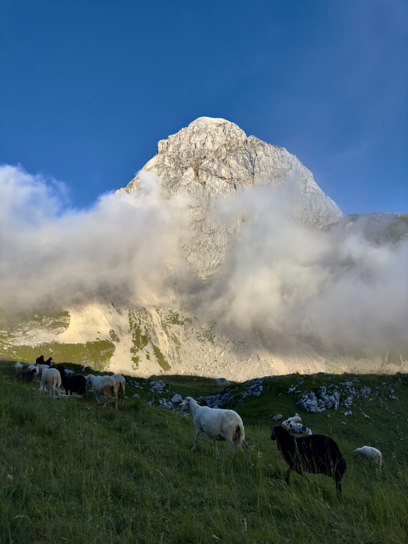 beillesztett kép