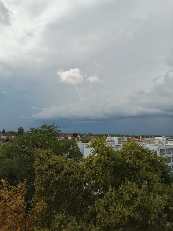 beillesztett kép
